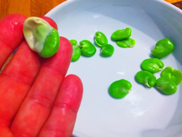 Always blanch and peel your broad beans, always, National dish