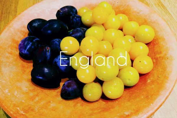 How do you make Plum Gin? National Dish of England