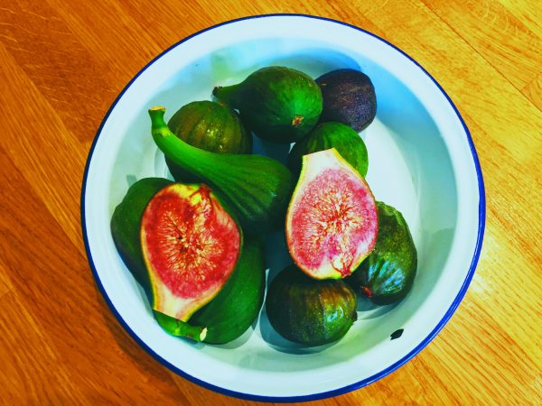 Bowl of fresh figs for spicy fig chutney