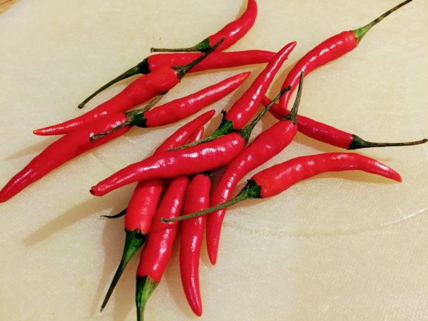 Hot and spicy red birds eye chillies
